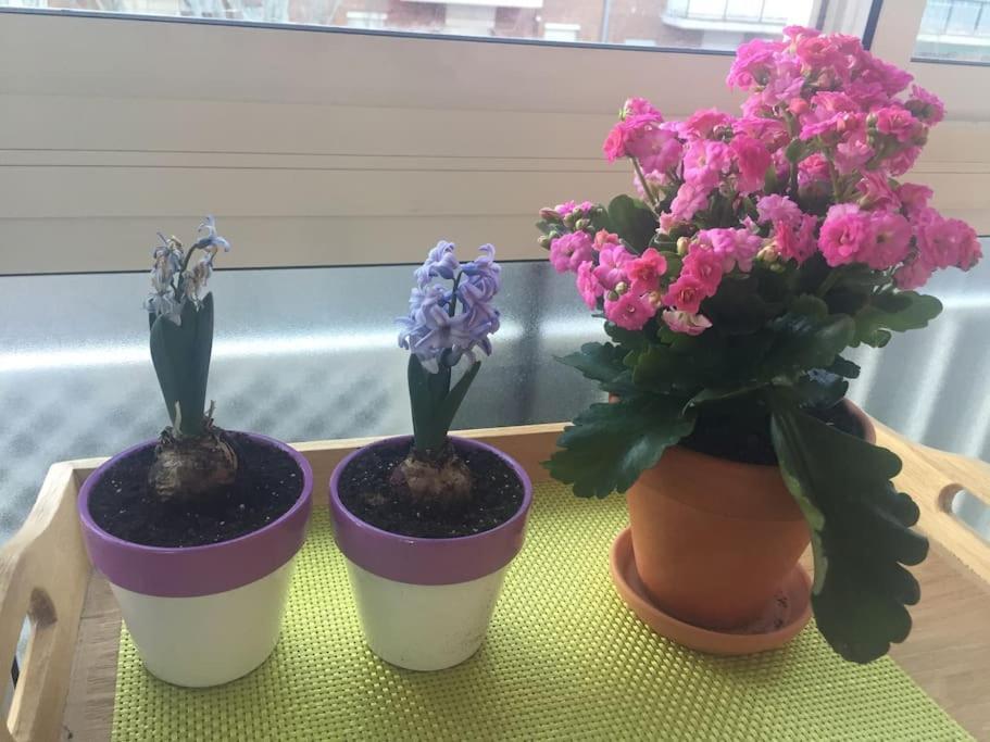 Apartamento Ciudad Lineal Reciente Reforma Lejlighed Madrid Eksteriør billede